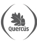 quercus