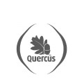 quercus